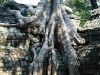 07 Ta Prohm-3