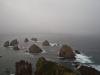 nugget-point