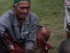 Cockfighting in Bali