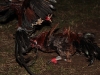 Cockfighting in Bali