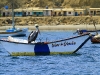 los-organos-observamos-ballenas-25-09-2010-10-43-13