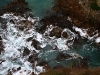 new-zealand-nugget-point-algen