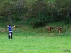 fita-world-archery-3d-championships-2011-donnersbach-02-09-2011-10-34-31