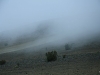 2010_08_25-chimborazo-87