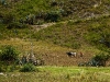 chobshi-ruinas-hutfabrik-03-09-2010-13-47-59