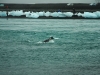 200812-02-jokulsarlon-168-new