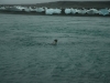 200812-02-jokulsarlon-169