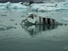 200812-02-jokulsarlon-39-new