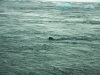 200812-02-jokulsarlon-89-new