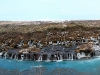 iceland-winter-hraunfossar-panorama