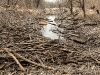 prater-krebsenwasser-marz2015-16-von-17