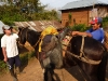 chachapoyas-congon-caballos