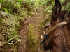 chachapoyas-congon-caballos2