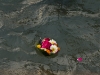 haridwar-flowersatganges