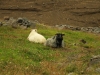 190812-03-hengifoss-20-new