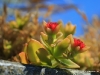 05_17-01-stromboli-beach-91