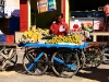 pushkar-streets-ghats-53