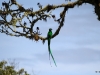 2013-05-24-01-quetzal-tour-159