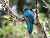 2013-05-24-01-quetzal-tour-74