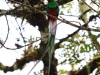 2013-05-24-01-quetzal-tour-89