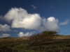 isla-de-pascua-westcoasttrail-24-07-2010-13-37-26