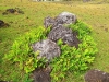 isla-de-pascua-westcoasttrail-24-07-2010-14-04-44