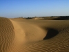 Wüste Thar