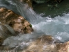 20140610-tscheppaschlucht-14