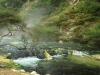 2010_06_10-03-waimangu-07-hot-springs-2