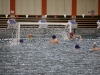 wasserball-bundesliga-18