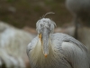 wien-zoo-schonbrunn-2013-23-von-30