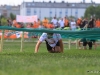 032-x-cross-run-wien-donauinsel-2012-26-05-2012-11-37-12-26-05-2012-11-37-12-2012-11-37-12-26-05-2012-11-48-58-2012-11-48-58