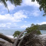 nach der tour mit dem guides landet man an diesem strand