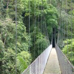 arenal hängebrücke 