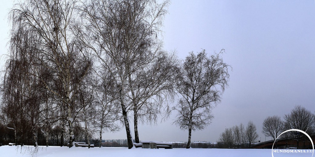 winter auf der donauinsel